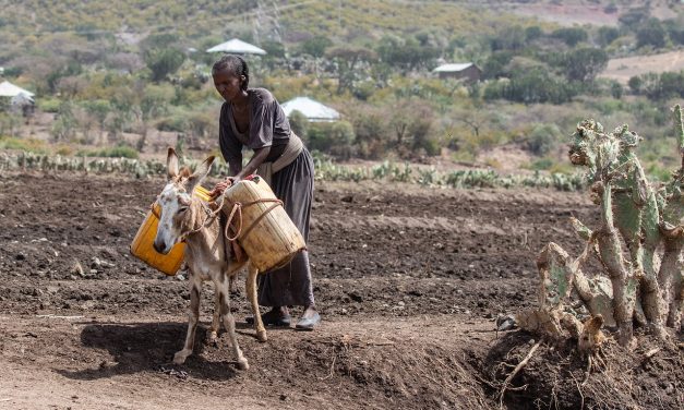 AFRICA. Amnesty: In Etiopia situazione fuori controllo