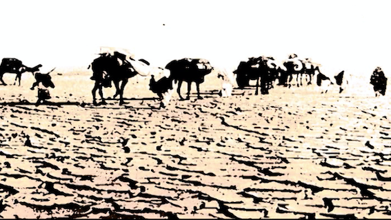 COLONIALISMO. Paolo Caccia Dominioni e la ricerca delle salme sepolte nel deserto