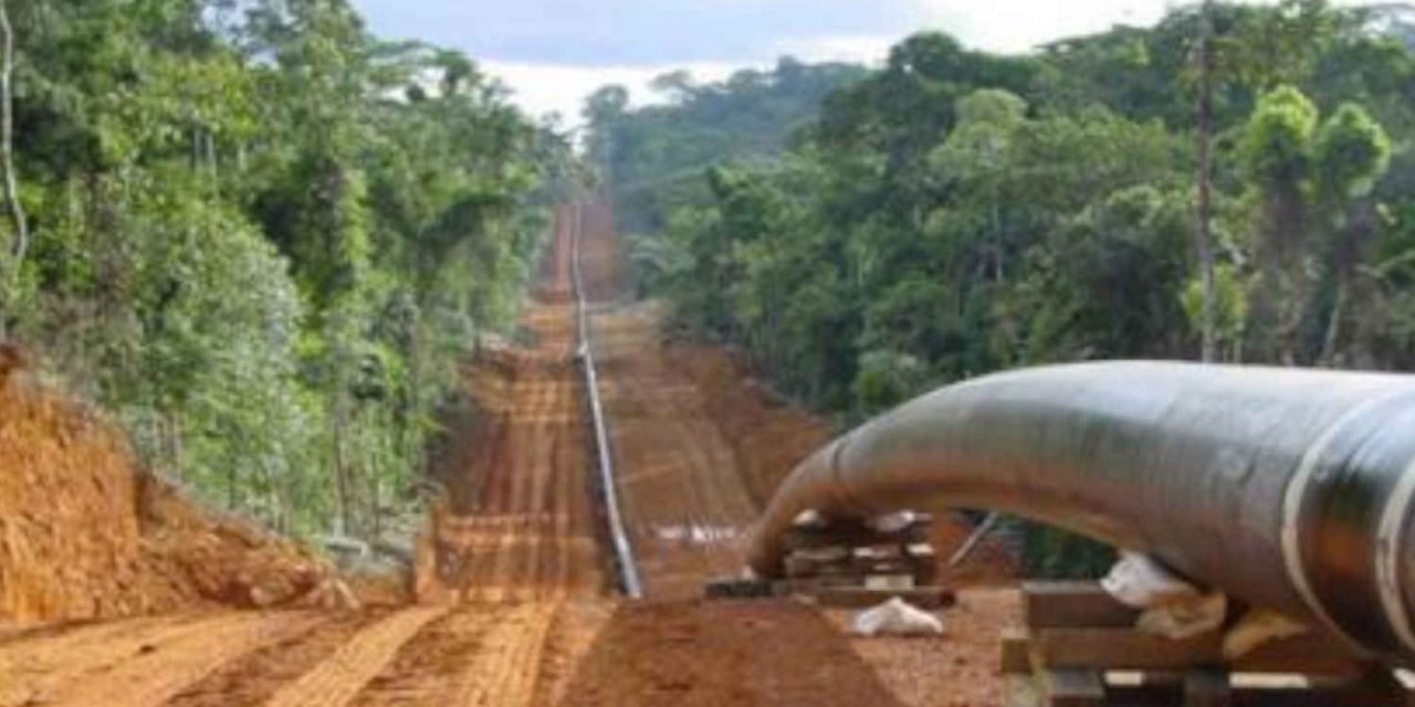 L’AFRICA RACCONTATA DA ILARIA DE BONIS. Tanzania-Uganda, la lotta contro l’oleodotto più grande al mondo