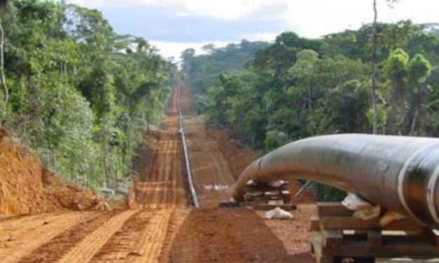 L’AFRICA RACCONTATA DA ILARIA DE BONIS. Tanzania-Uganda, la lotta contro l’oleodotto più grande al mondo