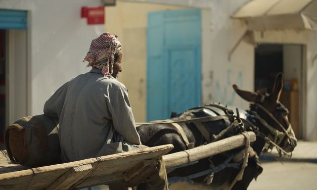 TUNISIA. Tra povertà e crescenti disuguaglianze regionali