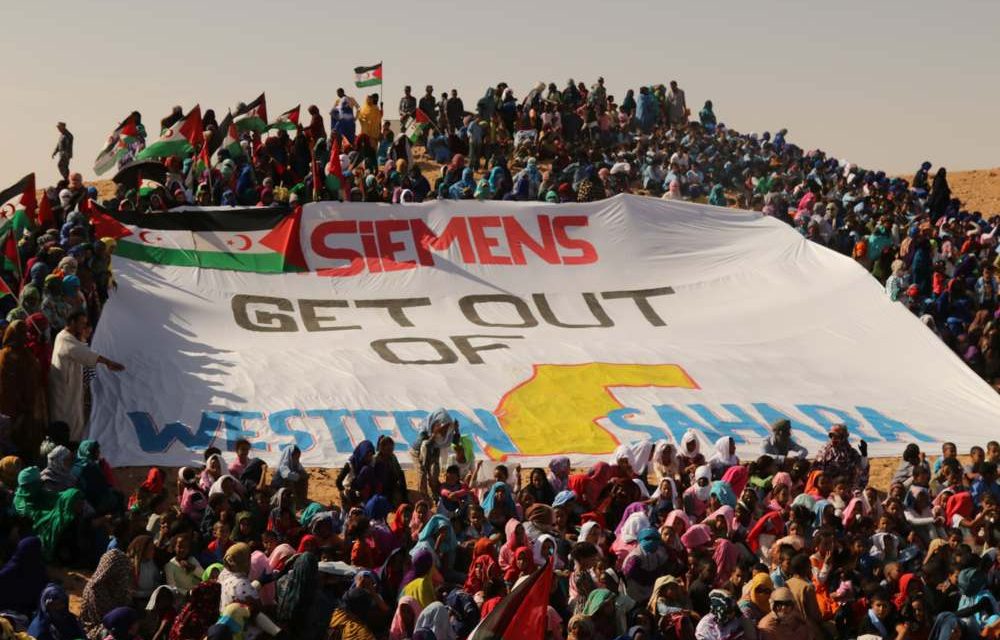 Il Sahara occidentale tra occupazione e greenwashing