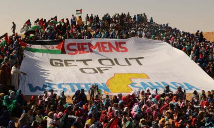 Il Sahara occidentale tra occupazione e greenwashing