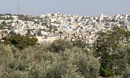 Vacanze palestinesi: le rotte del turismo in Cisgiordania e a Gaza