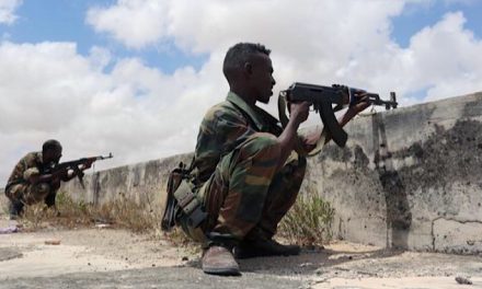 ETIOPIA. Le forze del Tigray conquistano terreno, il governo chiama alle armi e l’ONU accusa tutti di crimini di guerra
