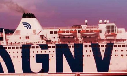 MIGRANTI. ONG: Basta con le navi quarantena. Chiediamo un’accoglienza sicura e dignitosa