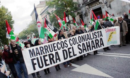 Il Marocco chiede la presidenza del Consiglio dei Diritti Umani. Proteste nei territori occupati del Sahara Occidentale