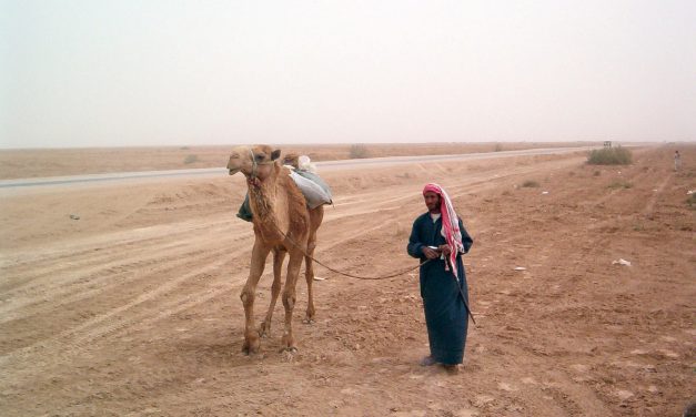 IRAQ. Il cambiamento climatico sta cancellando il Crescente fertile