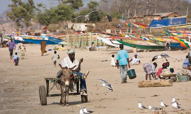 AFRICA. Gambia, sciroppo uccide 69 bambini. Sotto accusa una azienda indiana