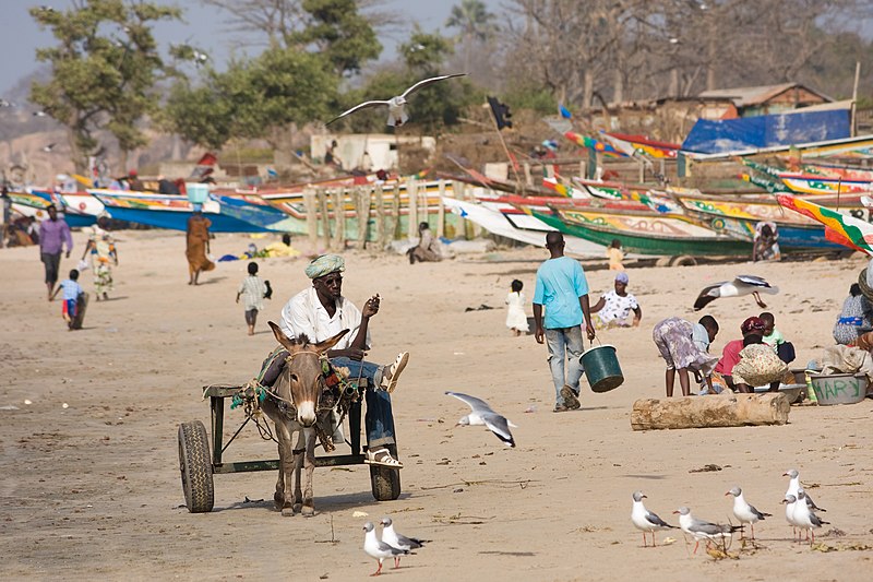 AFRICA. Gambia, sciroppo uccide 69 bambini. Sotto accusa una azienda indiana