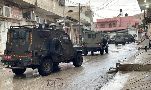 VIDEO. Cinque palestinesi uccisi dall’esercito israeliano a Aqabet Jaber (Gerico)