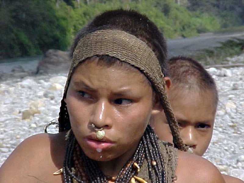 Perù. Cancellata la legge per lo sfruttamento industriale, le organizzazioni indigene festeggiano