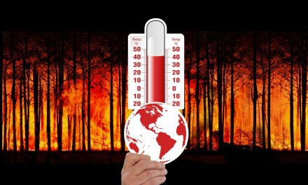 CLIMA-AMBIENTE. IL 2023 è stato un anno eccezionalmente caldo, in futuro andrà peggio