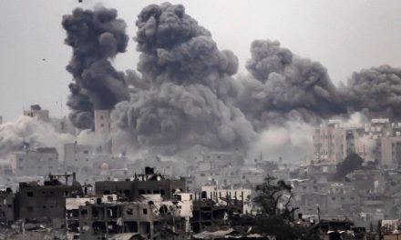 La guerra a Gaza sta spazzando via intere famiglie palestinesi, un ramo alla volta