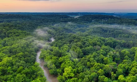 Carbonio insanguinato: un programma ricava milioni dalla terra indigena del Kenya