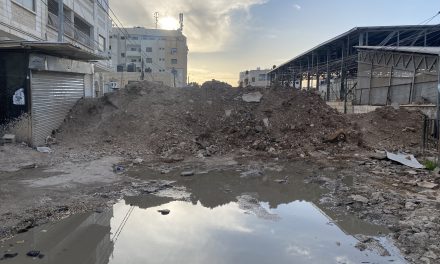 JENIN. La resistenza culturale del Freedom Theatre