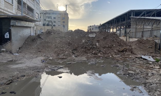 JENIN. La resistenza culturale del Freedom Theatre