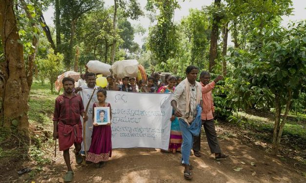 India: indigeni sfrattati si riprendono la propria terra all’interno di una famosa Riserva della Tigre