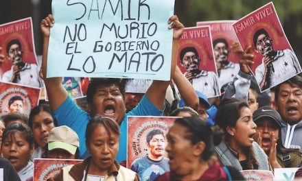 MESSICO. Attivisti ambientali aggrediti e uccisi da Stato e criminalità