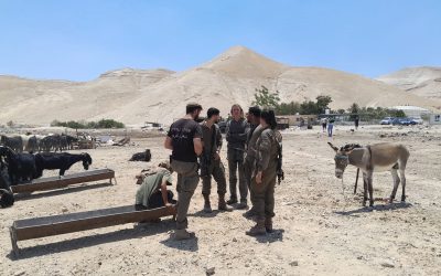 REPORTAGE. Cisgiordania: l’avamposto dei coloni israeliani sulle ceneri di Al Muarrajat
