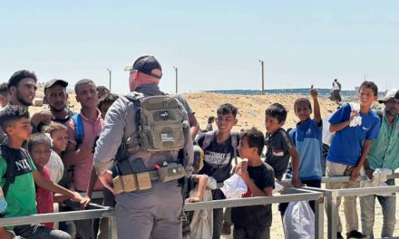 Gaza. Testimoni: “i contractor americani della Ghf sparano sui civili in cerca di cibo”
