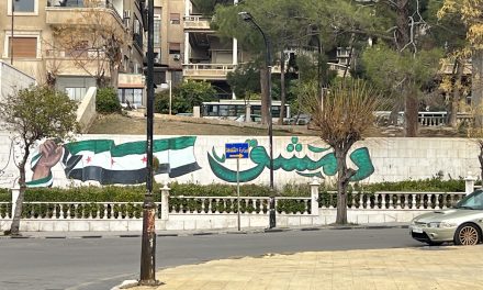 SIRIA. Suwayda, tra pietra e resistenza: viaggio in una città che non si piega (Parte 2)