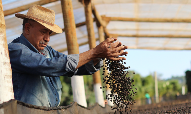 Crolla il prezzo del caffè alla borsa di NY. Le conseguenze sui piccoli produttori