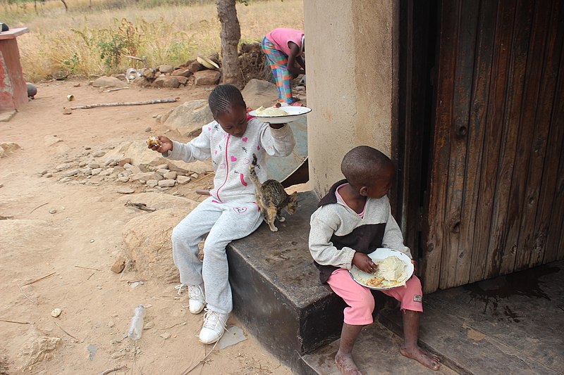 BAHREIN. Il conflitto tra interessi e diritti umani