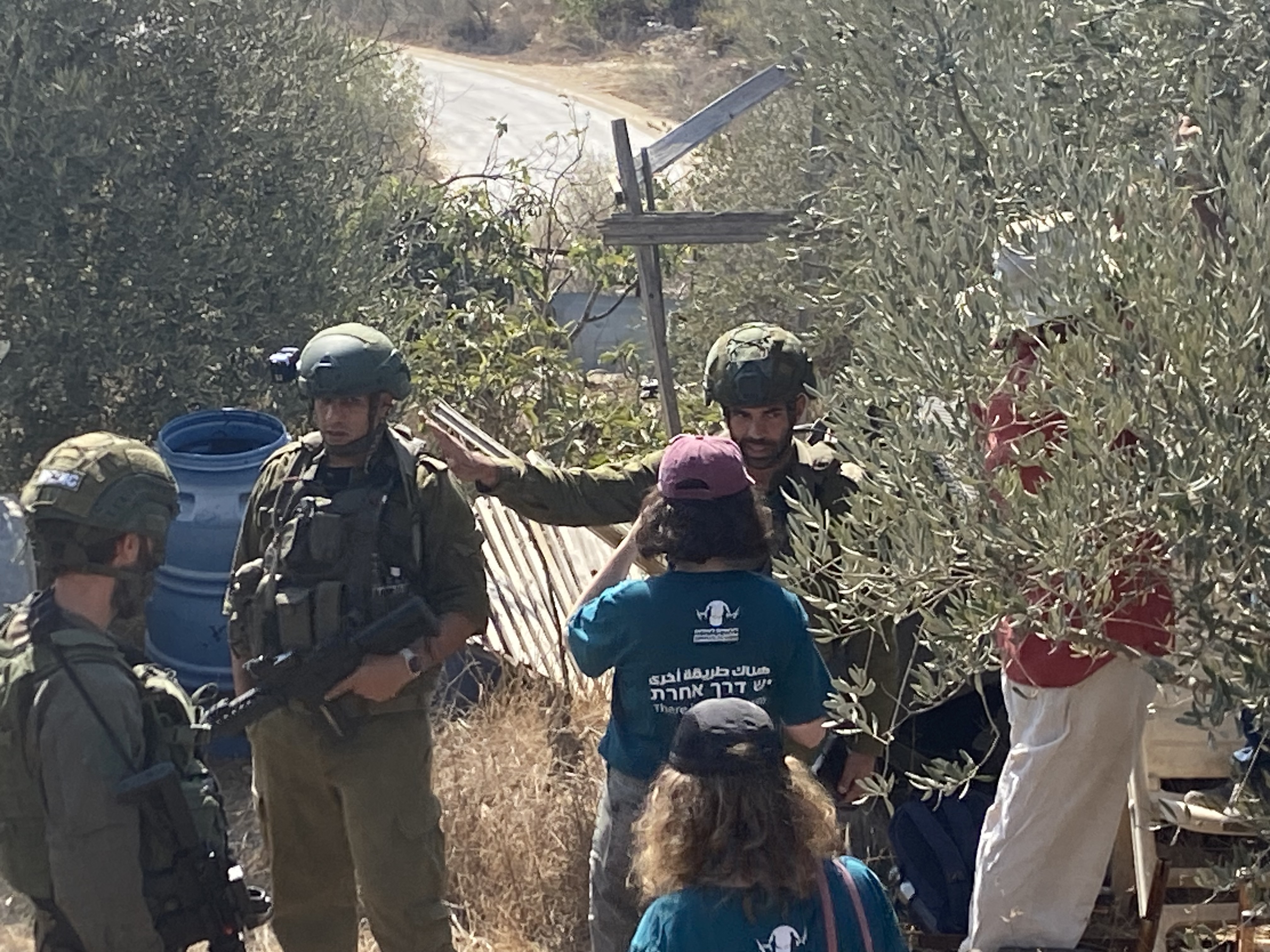 La guerra dei coloni agli ulivi ridisegna la Cisgiordania